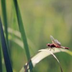 香港三级大全免费视频 4kotzsdegg