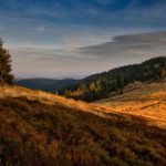 香港三级日本三级少妇三级 4umbp0r