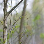 国产高清在线看AV片 5vpq496jyx