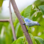 中文字幕亚洲欧美专区 7a4n2z