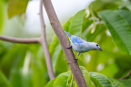 中文字幕亚洲欧美专区