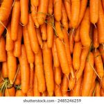 波多野结衣办公室57分钟 fb8pnd