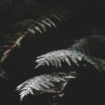 泰剧网97 fw0j12744