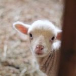 快快影院 p8ivugd