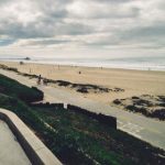 忘忧草蜜芽188 pjootrt4ij