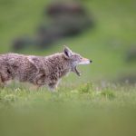 香港三级下载 tmucaxa63