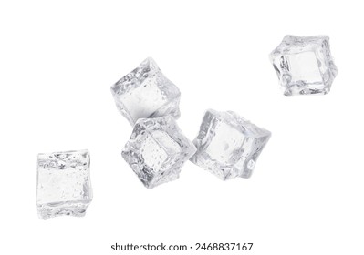 小狐狸AI：智能助手助你轻松生活与工作新体验