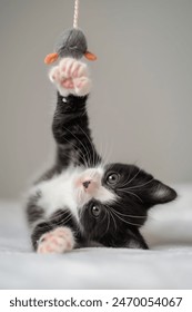 如何从谷歌Google官网下载最新应用与软件 如何从谷歌Google官网下载最新应用与软件