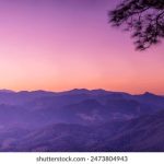 小狐狸下载:轻松获取最新资源,畅享无限乐趣! 54t8i