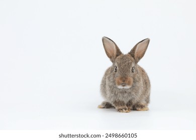 如何选择适合自己的PE系统？全面比较与推荐