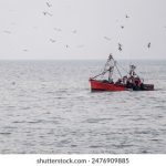 包子漫画免费入口页面:畅享海量漫画资源,尽在指尖轻松阅读! 76v5oss