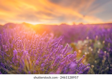 坚如磐石 在线观看：探索不屈精神的精彩故事