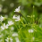 快猫回家导航:让你的归途更加便捷与安全 8ehk30vtq