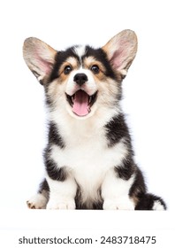 全能千金 燃翻天 最新 漫画:揭开千金小姐的逆袭传奇与热血冒险 全能千金 燃翻天 最新 漫画:揭开千金小姐的逆袭传奇与热血冒险