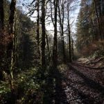 天天影视大全:畅享最新热门影视剧,尽在掌握之中! gmfu6b