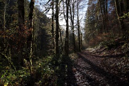 天天影视大全：畅享最新热门影视剧，尽在掌握之中！