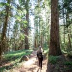 如何选择最佳的YouTube下载器,轻松保存视频 i78pflm3xt