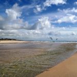 包子漫画原版:探索经典包子漫画背后的故事与魅力 j2rt82ql