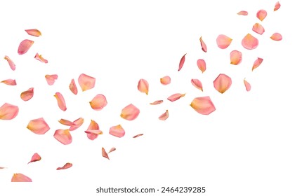 天天向上：王一博的成长与魅力全解析