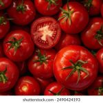 回春丹鲜花歌词:细腻情感与自然之美的完美交融 oac4l6q2td