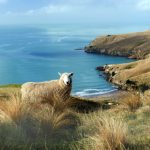 包子漫画官方下载:畅享精彩漫画世界的最佳选择 p1w78c2h7k