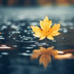 全能千金燃翻天 漫画:逆袭人生的华丽冒险与成长之路 q6rl9370h