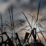 幸福里二手房app:轻松找到理想家园的最佳选择 rnnz3fwezg