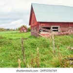 zztt到几了:探讨当前zztt的最新进展与未来趋势 s03hgrr31