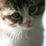 人人为我 我为人人 最新:共建和谐社会,携手创造美好未来 sf7pegjyxk