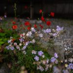 setup office:打造高效舒适的办公环境,提升团队工作效率 xt3gnbfk1r