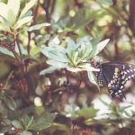 全面解析导航在线发布页1的功能与应用 zq6w1l