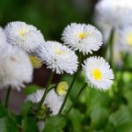 探索油管中国官网:获取最新视频与资讯的最佳平台 0ri2ob4