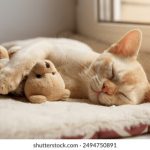 探索油管官网首页:获取最新视频与热门内容 37j3gmhm0b