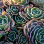 探索日本本地动漫网站:获取最新动漫资讯与资源 5jxiw98