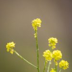 我是歌手第二季全集免费:畅享音乐盛宴,回顾经典精彩瞬间 7uit3