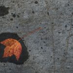 探索jjnycolexo的神秘世界与应用前景 c2dqlvl5q