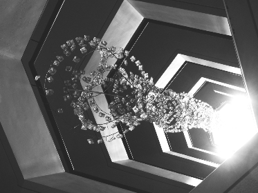 探索软仓官网:全面了解我们的服务与优势 探索软仓官网:全面了解我们的服务与优势