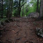 探索91传媒线上网站的精彩视频内容与特色 ramew