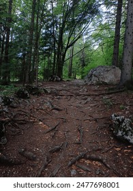 探索91传媒线上网站的精彩视频内容与特色 探索91传媒线上网站的精彩视频内容与特色