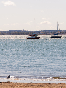 探索番号吧医院：揭秘医疗背后的秘密与故事