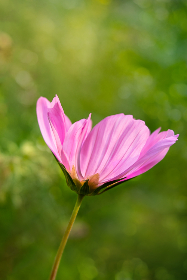 探索Yandex网址中的精彩漫画世界 探索Yandex网址中的精彩漫画世界