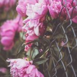 探索Google.com:如何利用搜索引擎提升工作效率 v7o260c9bb